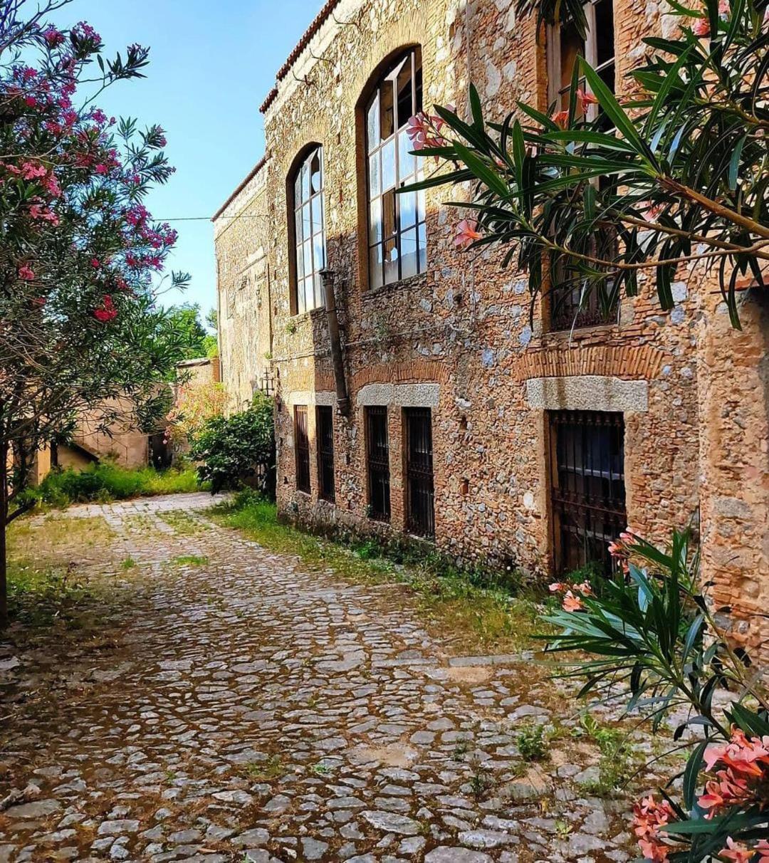 Florence House Santa Caterina dello Ionio Εξωτερικό φωτογραφία